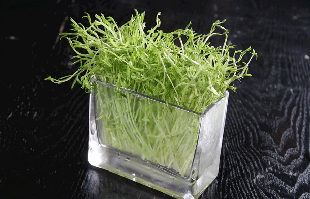 看看這些深刻的教訓(xùn)，你還敢濫用藥物嗎？請(qǐng)對(duì)食品安全負(fù)