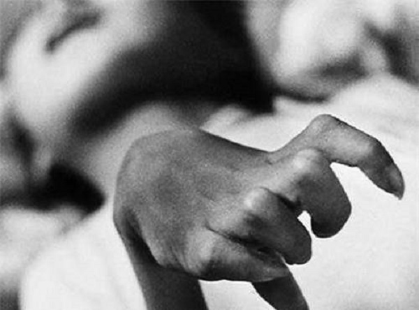 土壤的“毒藥”--大米中富集重金屬有什么危害？