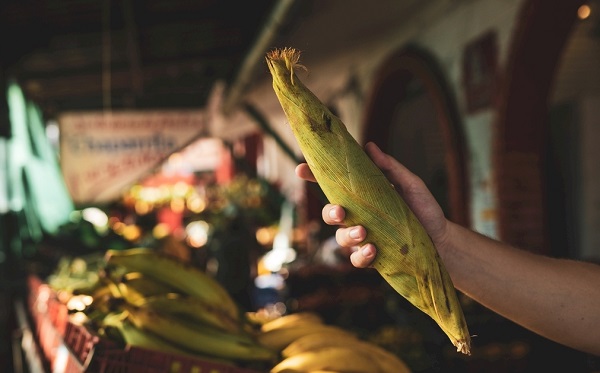 不止菜市場(chǎng)、餐廳！農(nóng)殘速測(cè)儀的作用及應(yīng)用領(lǐng)域